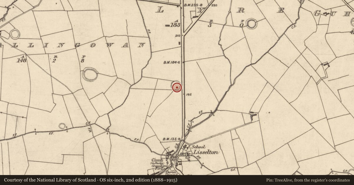 Ordnance Survey six-inch map, 2nd edition (1888–1915) covering the location of Ringfort - rath, Lyre, County Kerry, with a pin at the register's coordinates