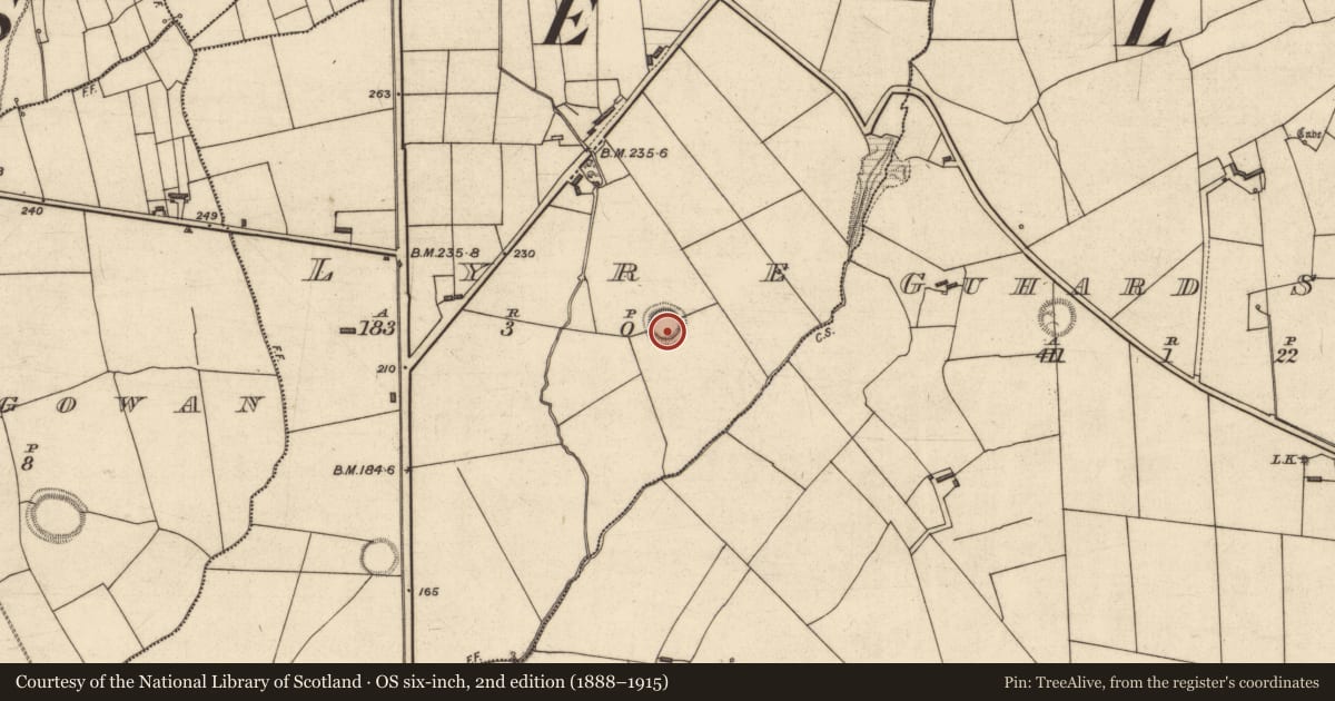 Ordnance Survey six-inch map, 2nd edition (1888–1915) covering the location of Ringfort - rath, Lyre, County Kerry, with a pin at the register's coordinates