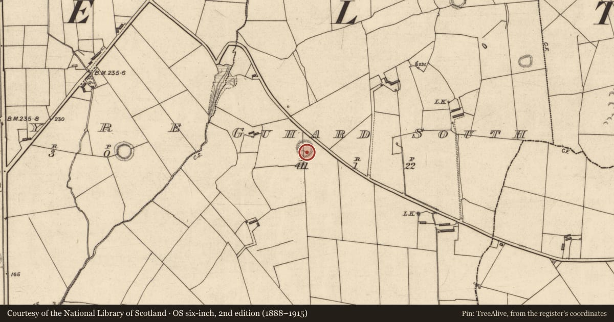 Ordnance Survey six-inch map, 2nd edition (1888–1915) covering the location of Ringfort - rath, Guhard South, County Kerry, with a pin at the register's coordinates