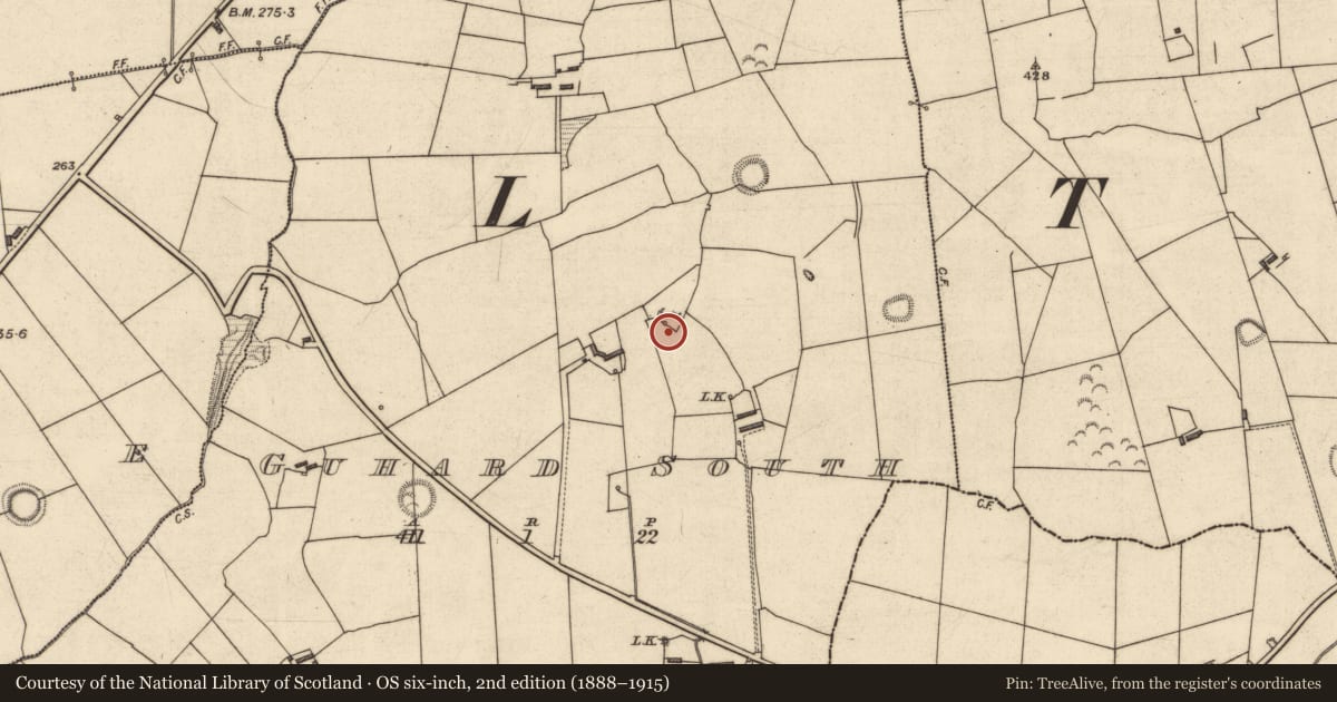 Ordnance Survey six-inch map, 2nd edition (1888–1915) covering the location of Ringfort - rath, Guhard South, County Kerry, with a pin at the register's coordinates