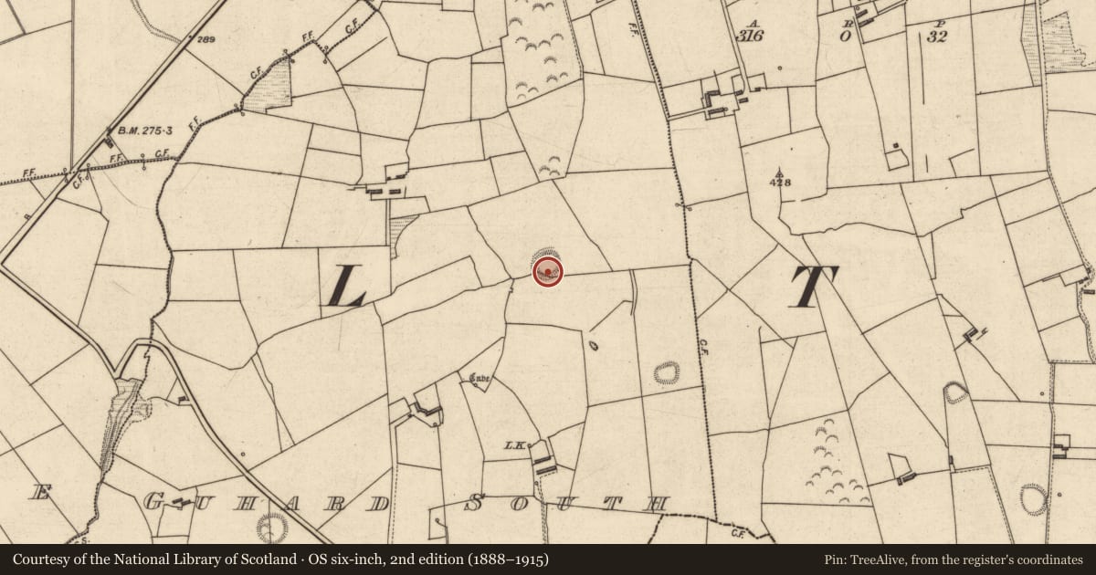 Ordnance Survey six-inch map, 2nd edition (1888–1915) covering the location of Ringfort - rath, Guhard South, County Kerry, with a pin at the register's coordinates