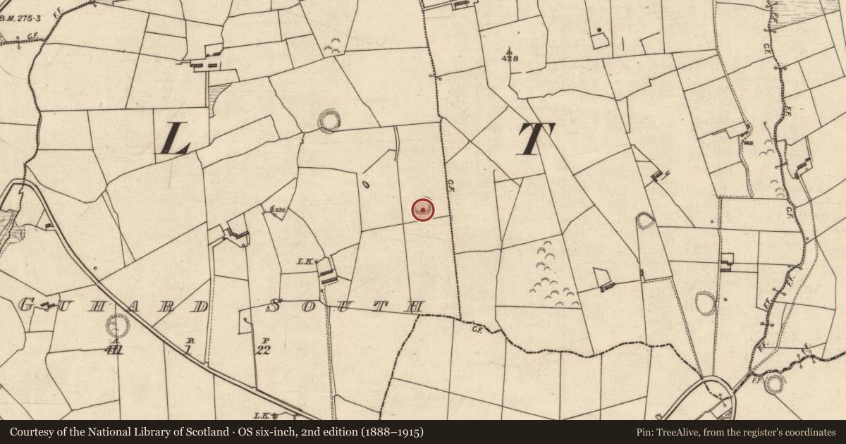 Ordnance Survey six-inch map, 2nd edition (1888–1915) covering the location of Ringfort - rath, Guhard South, County Kerry, with a pin at the register's coordinates