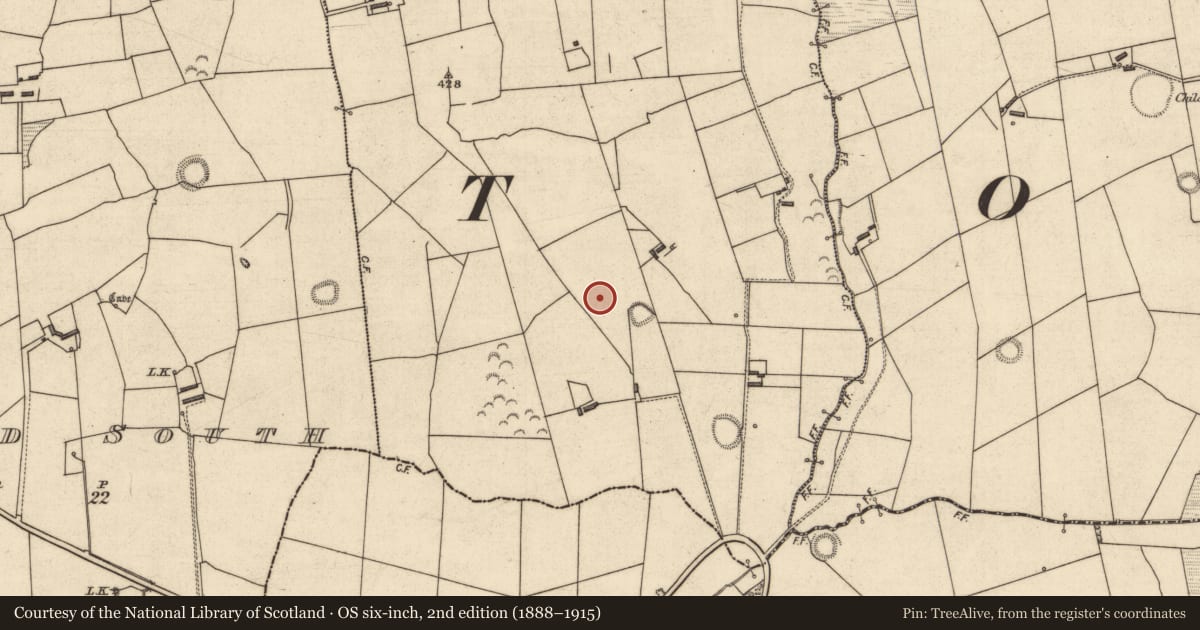 Ordnance Survey six-inch map, 2nd edition (1888–1915) covering the location of Ringfort - rath, Guhard North, County Kerry, with a pin at the register's coordinates