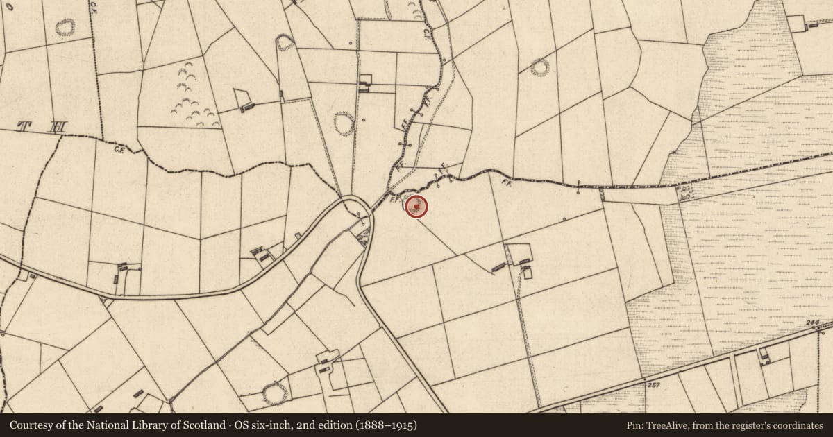 Ordnance Survey six-inch map, 2nd edition (1888–1915) covering the location of Ringfort - rath, Glouria, County Kerry, with a pin at the register's coordinates