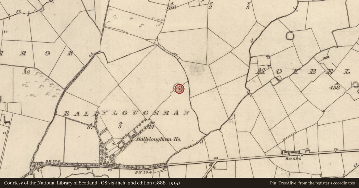 Ordnance Survey six-inch map, 2nd edition (1888–1915) covering the location of Ringfort - rath, Ballyloughran, County Kerry, with a pin at the register's coordinates