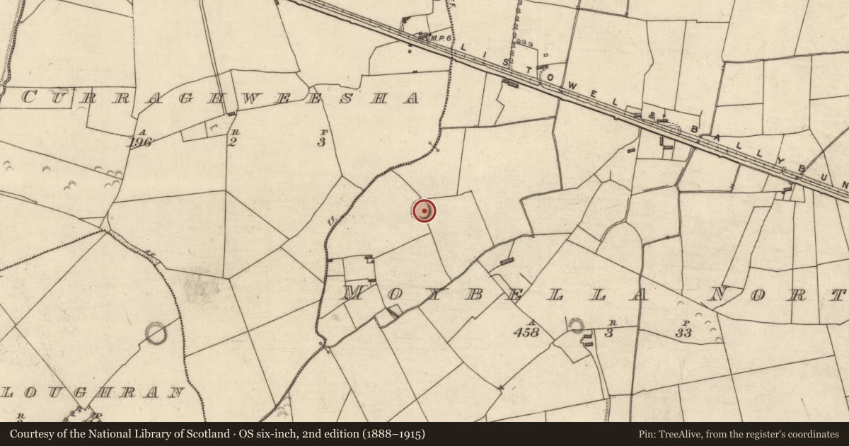 Ordnance Survey six-inch map, 2nd edition (1888–1915) covering the location of Ringfort - rath, Moybella North, County Kerry, with a pin at the register's coordinates