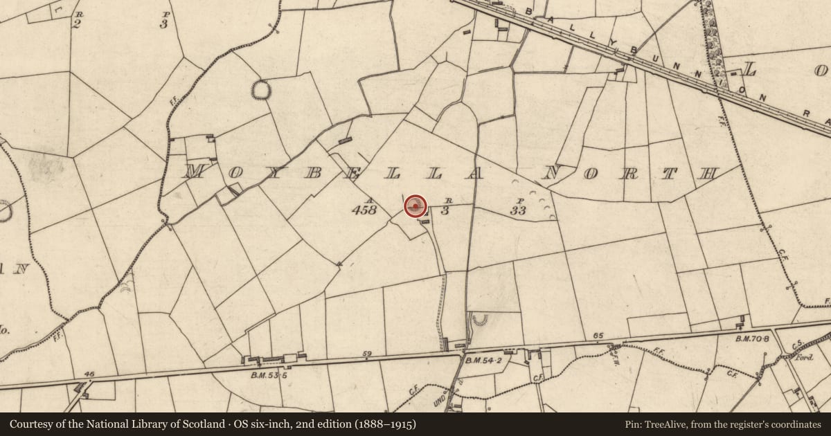 Ordnance Survey six-inch map, 2nd edition (1888–1915) covering the location of Ringfort - rath, Moybella North, County Kerry, with a pin at the register's coordinates