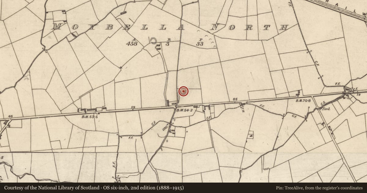 Ordnance Survey six-inch map, 2nd edition (1888–1915) covering the location of Ringfort - rath, Moybella North, County Kerry, with a pin at the register's coordinates