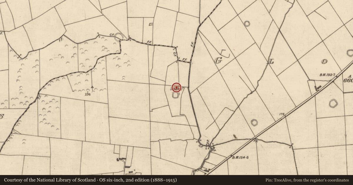 Ordnance Survey six-inch map, 2nd edition (1888–1915) covering the location of Bawn, Ballydonohoe, County Kerry, with a pin at the register's coordinates