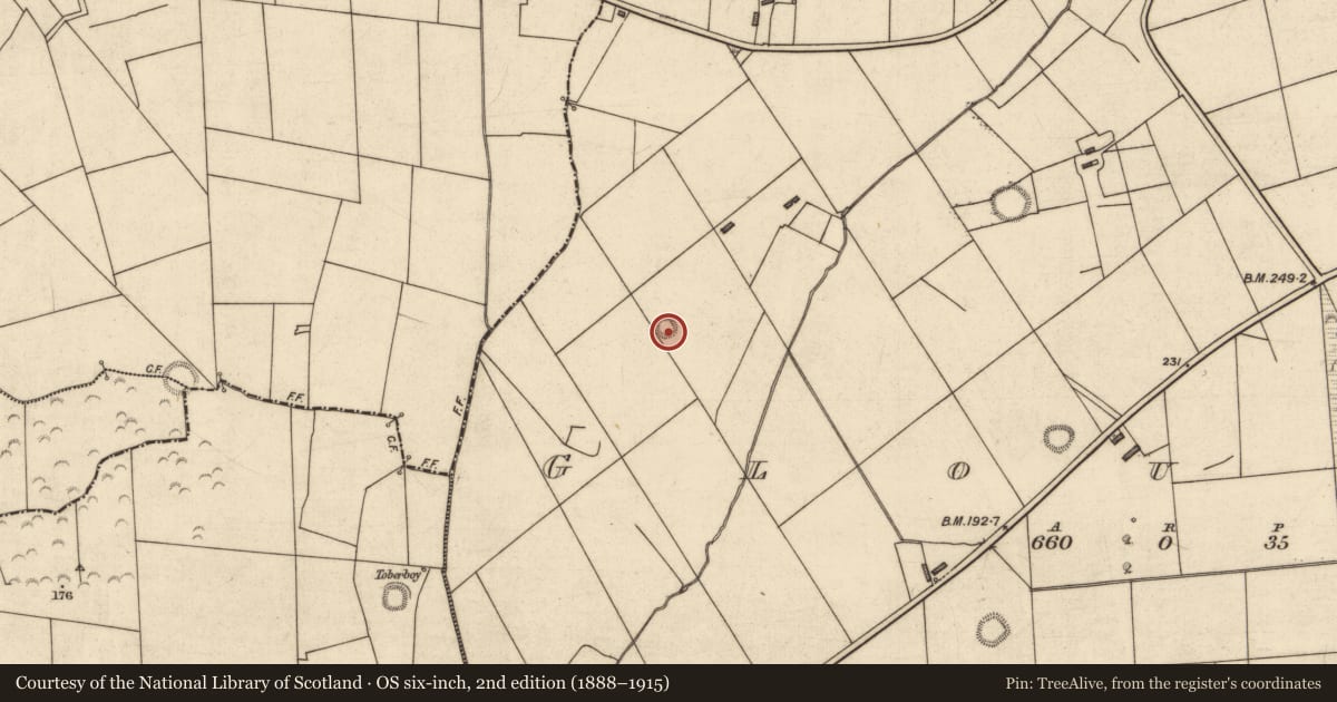Ordnance Survey six-inch map, 2nd edition (1888–1915) covering the location of Ringfort - rath, Glouria, County Kerry, with a pin at the register's coordinates