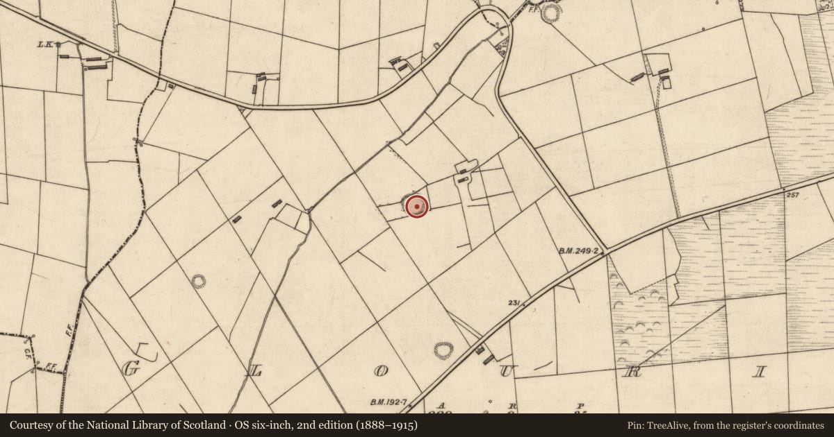 Ordnance Survey six-inch map, 2nd edition (1888–1915) covering the location of Ringfort - rath, Glouria, County Kerry, with a pin at the register's coordinates