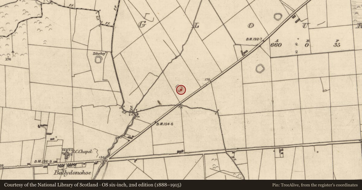Ordnance Survey six-inch map, 2nd edition (1888–1915) covering the location of Ringfort - rath, Glouria, County Kerry, with a pin at the register's coordinates