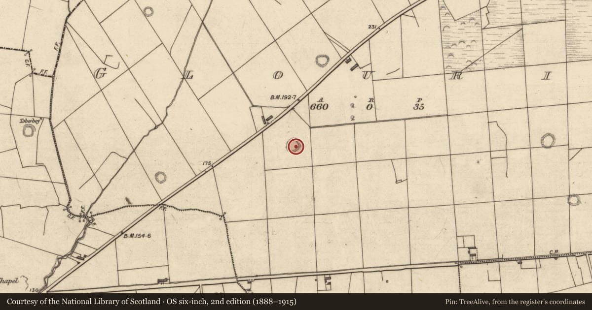 Ordnance Survey six-inch map, 2nd edition (1888–1915) covering the location of Ringfort - rath, Glouria, County Kerry, with a pin at the register's coordinates