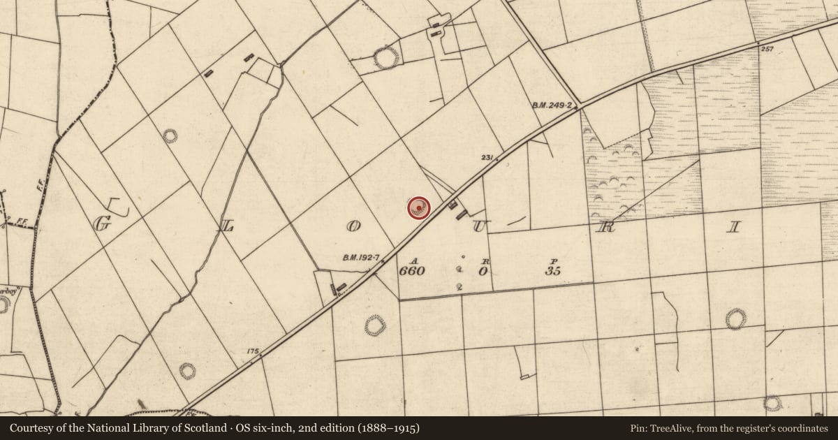 Ordnance Survey six-inch map, 2nd edition (1888–1915) covering the location of Ringfort - rath, Glouria, County Kerry, with a pin at the register's coordinates