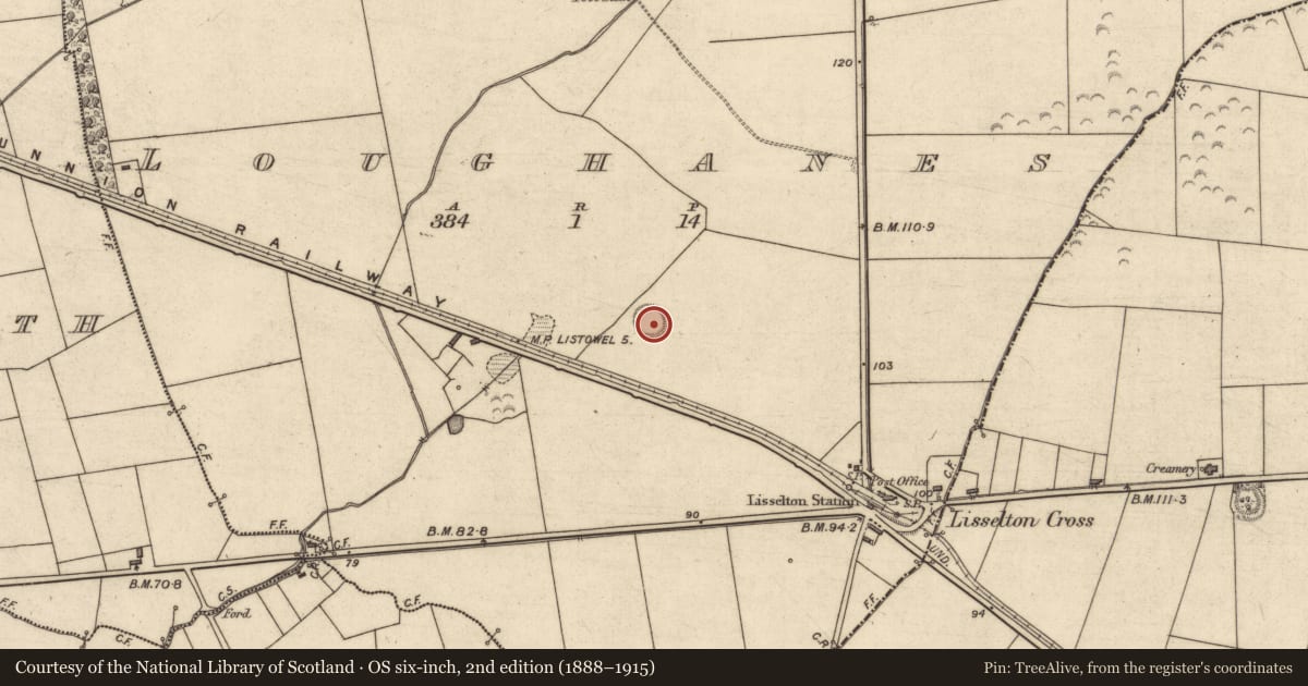 Ordnance Survey six-inch map, 2nd edition (1888–1915) covering the location of Ringfort - rath, Loughanes, County Kerry, with a pin at the register's coordinates
