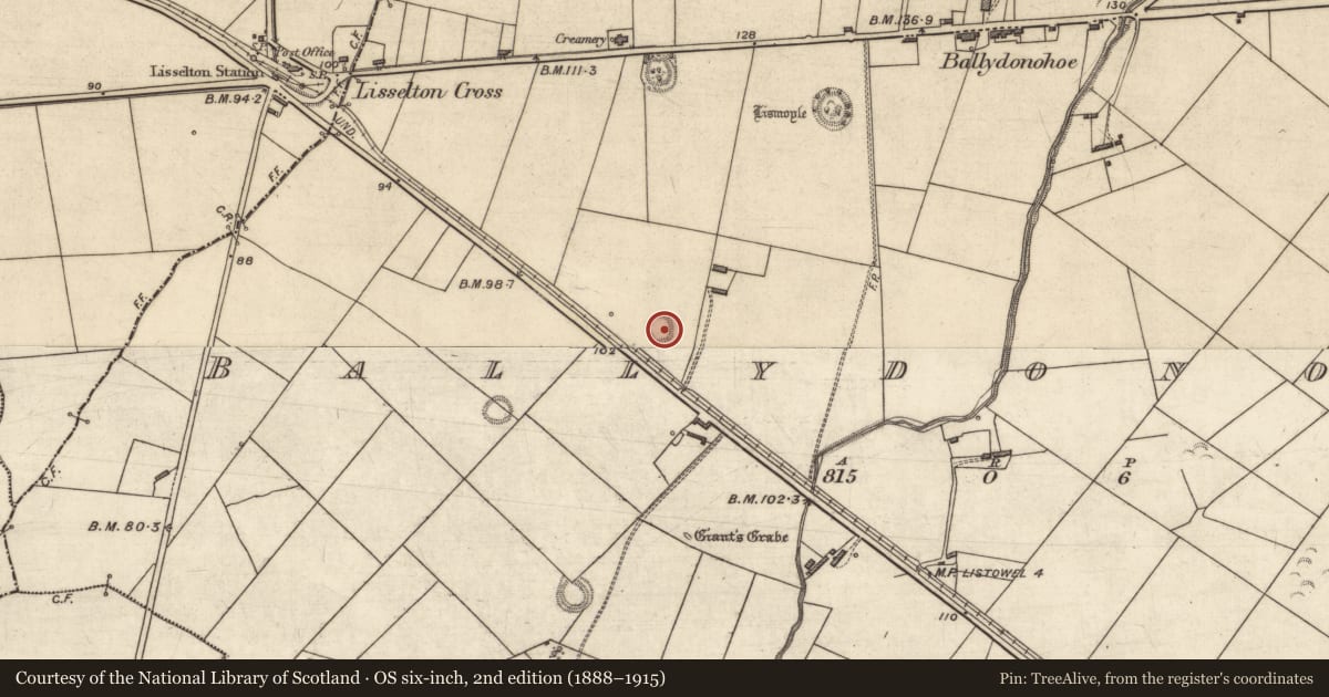 Ordnance Survey six-inch map, 2nd edition (1888–1915) covering the location of Ringfort - rath, Ballydonohoe, County Kerry, with a pin at the register's coordinates