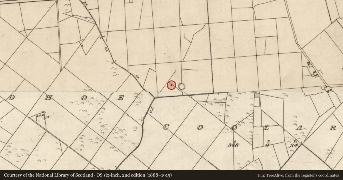 Ordnance Survey six-inch map, 2nd edition (1888–1915) covering the location of Enclosure, Glouria, County Kerry, with a pin at the register's coordinates