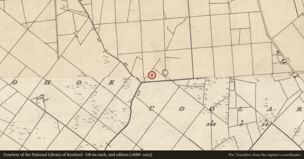 Ordnance Survey six-inch map, 2nd edition (1888–1915) covering the location of House - indeterminate date, Glouria, County Kerry, with a pin at the register's coordinates