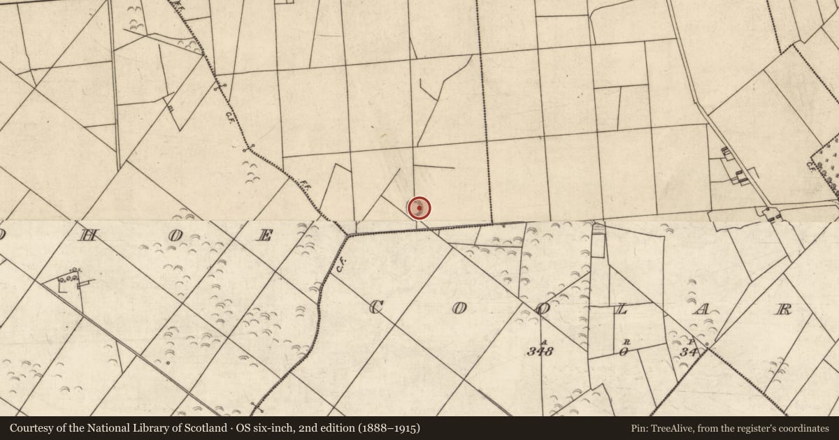 Ordnance Survey six-inch map, 2nd edition (1888–1915) covering the location of Ringfort - rath, Glouria, County Kerry, with a pin at the register's coordinates