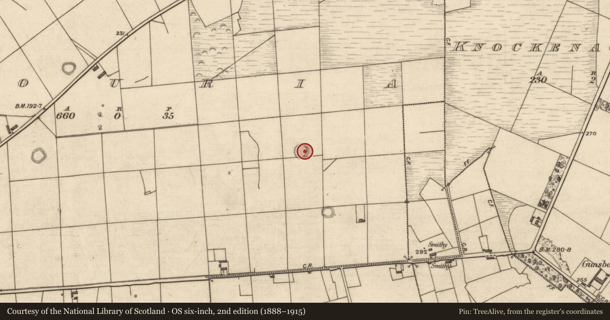 Ordnance Survey six-inch map, 2nd edition (1888–1915) covering the location of Ringfort - rath, Glouria, County Kerry, with a pin at the register's coordinates