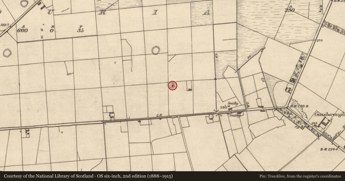 Ordnance Survey six-inch map, 2nd edition (1888–1915) covering the location of Ringfort - rath, Glouria, County Kerry, with a pin at the register's coordinates