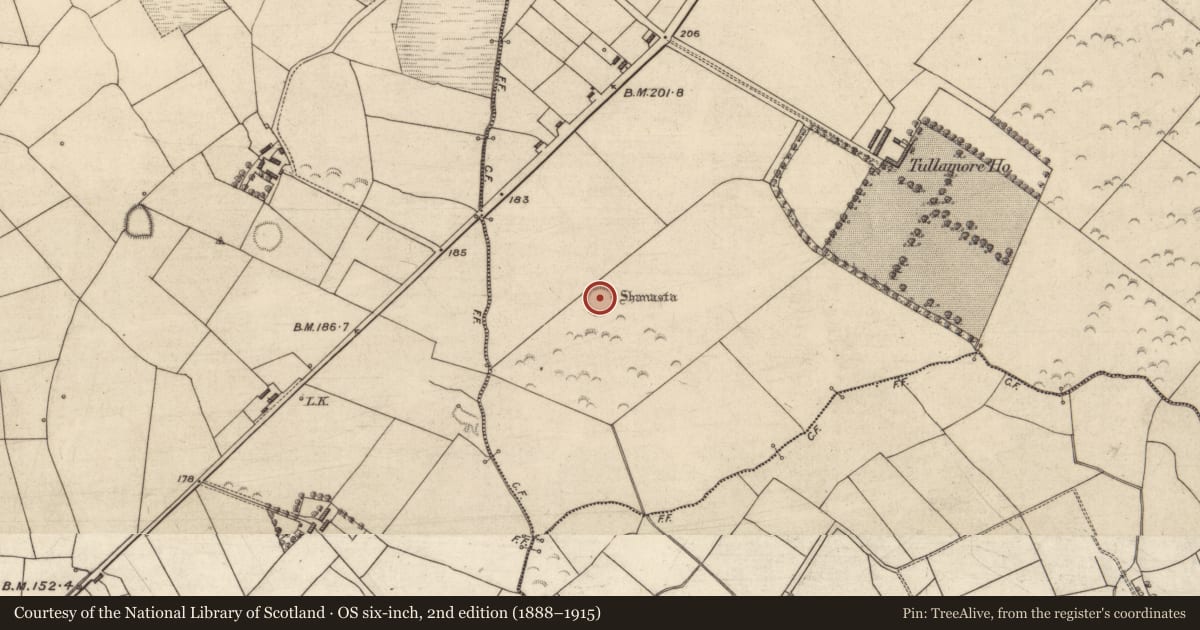 Ordnance Survey six-inch map, 2nd edition (1888–1915) covering the location of Ringfort - rath, Tullamore, County Kerry, with a pin at the register's coordinates