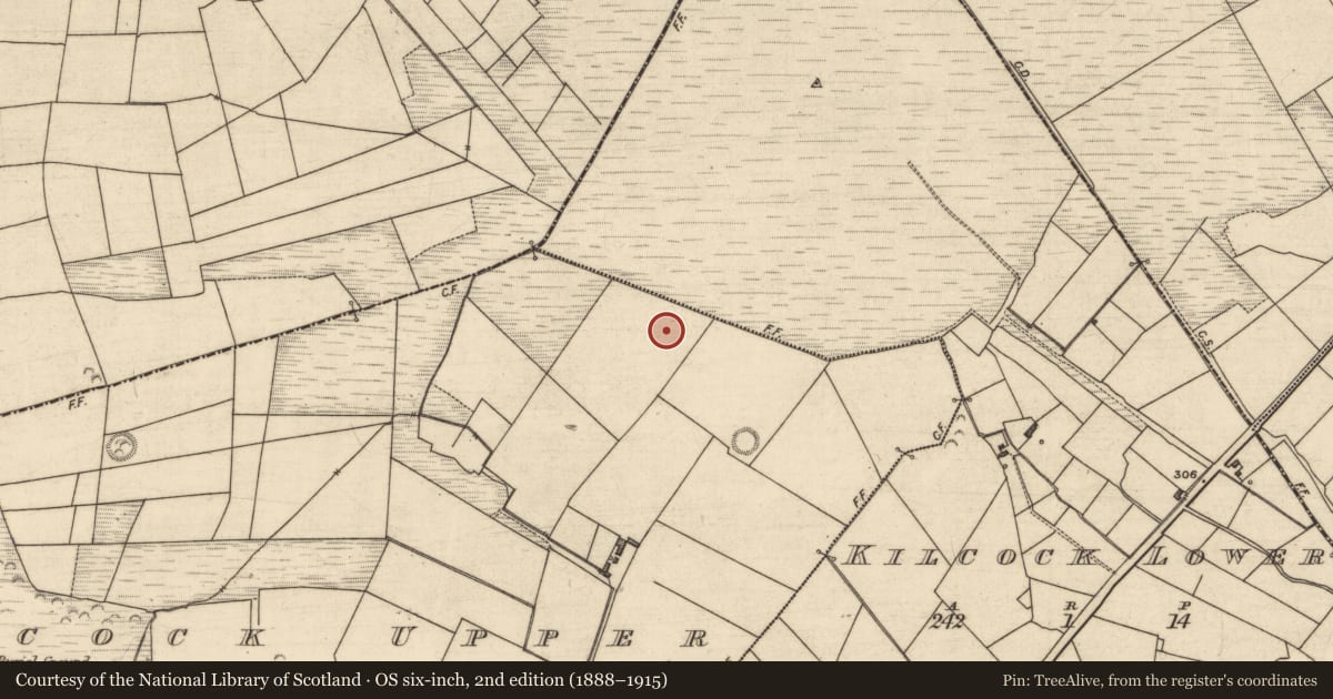 Ordnance Survey six-inch map, 2nd edition (1888–1915) covering the location of Barrow - ring-barrow, Kilcock Upper, County Kerry, with a pin at the register's coordinates