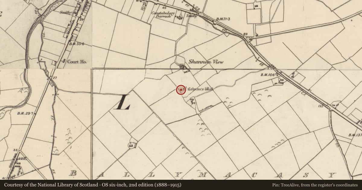 Ordnance Survey six-inch map, 2nd edition (1888–1915) covering the location of Ritual site - holy well, Ballymacasy, County Kerry, with a pin at the register's coordinates