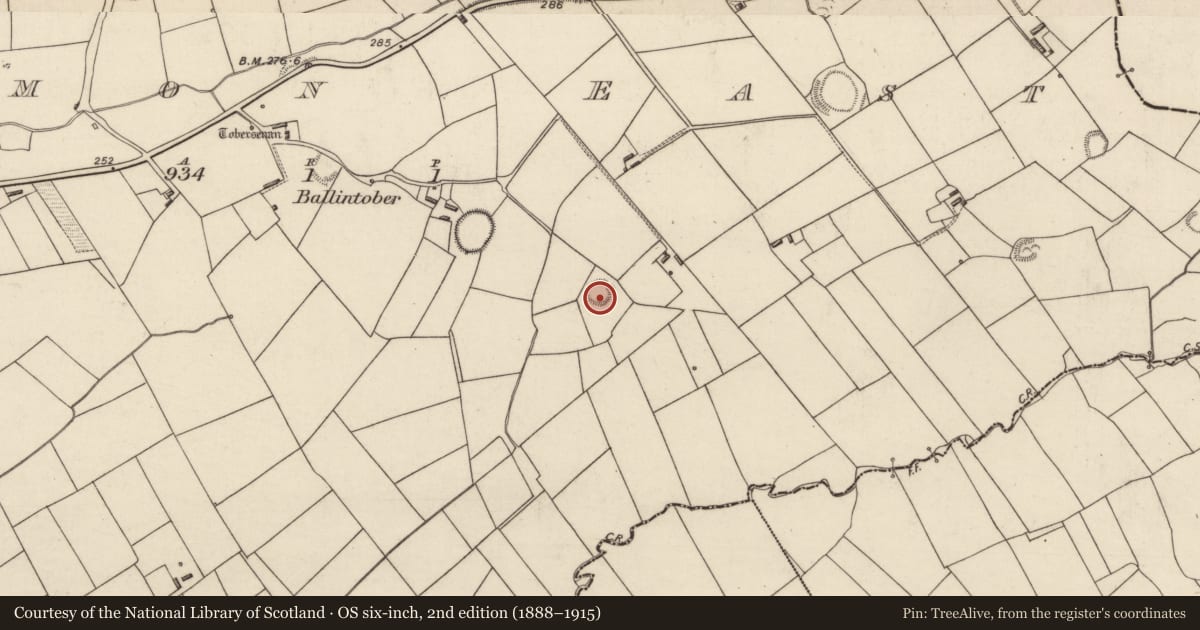 Ordnance Survey six-inch map, 2nd edition (1888–1915) covering the location of Ringfort - rath, Tarmon East, County Kerry, with a pin at the register's coordinates