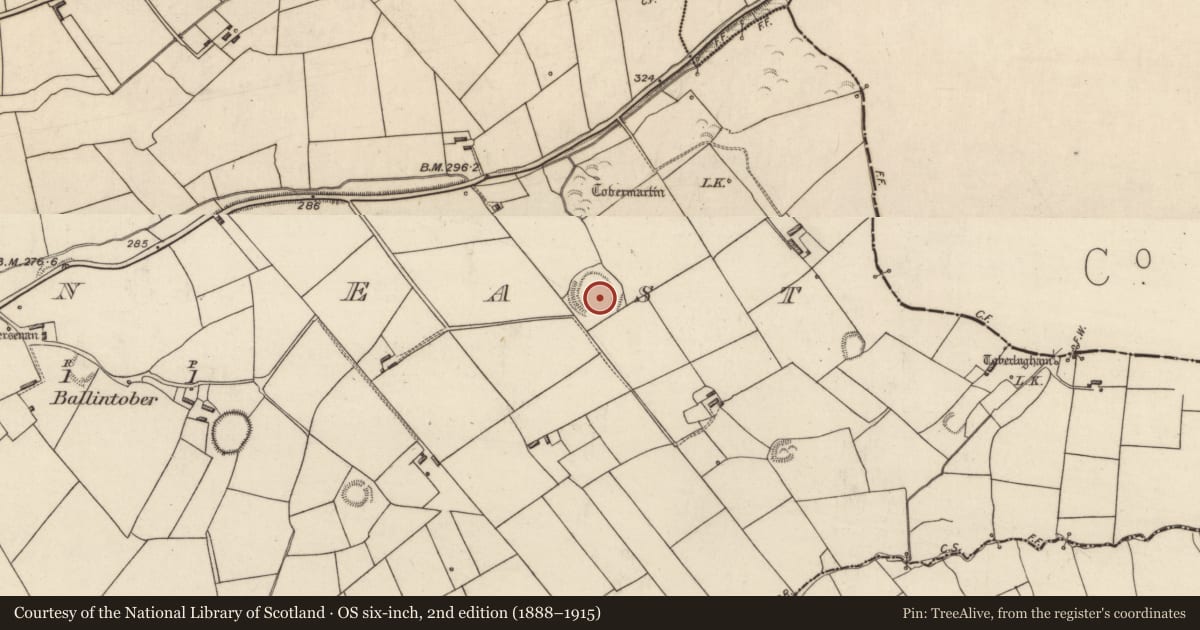 Ordnance Survey six-inch map, 2nd edition (1888–1915) covering the location of Ringfort - rath, Tarmon East, County Kerry, with a pin at the register's coordinates