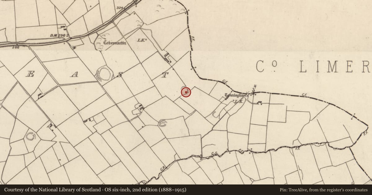 Ordnance Survey six-inch map, 2nd edition (1888–1915) covering the location of Moated site, Tarmon East, County Kerry, with a pin at the register's coordinates