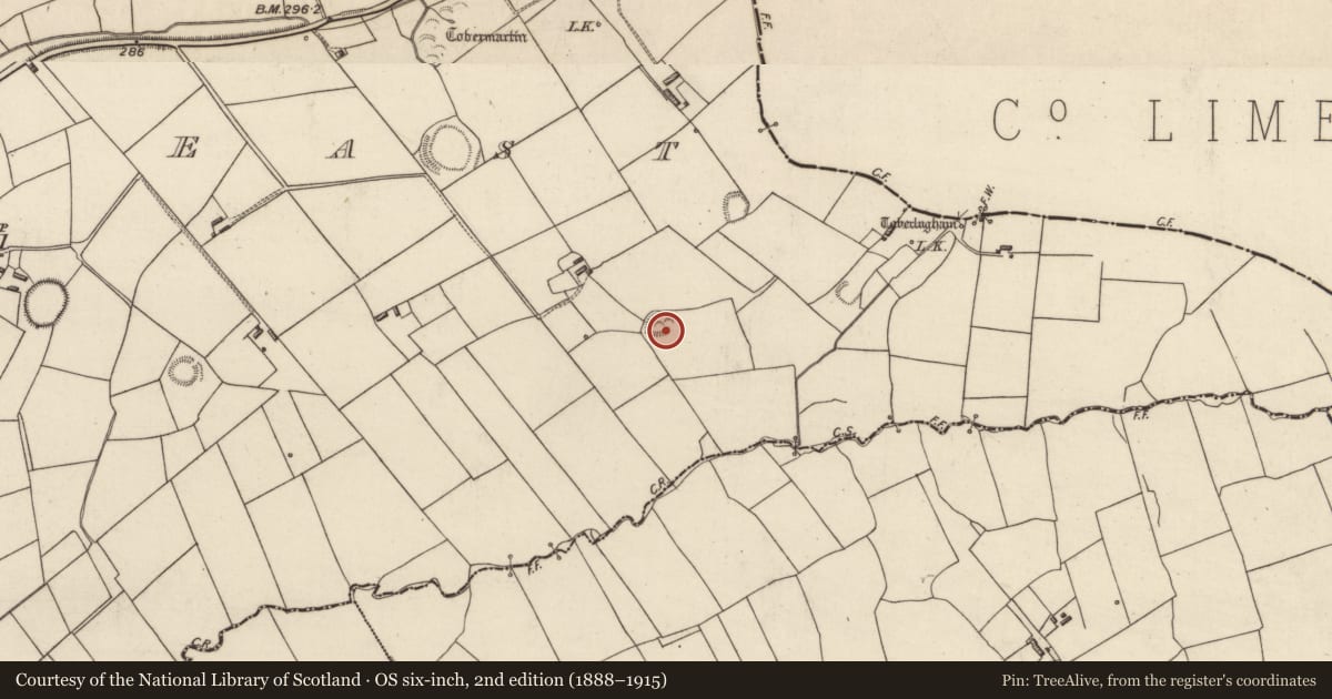 Ordnance Survey six-inch map, 2nd edition (1888–1915) covering the location of Ringfort - rath, Tarmon East, County Kerry, with a pin at the register's coordinates