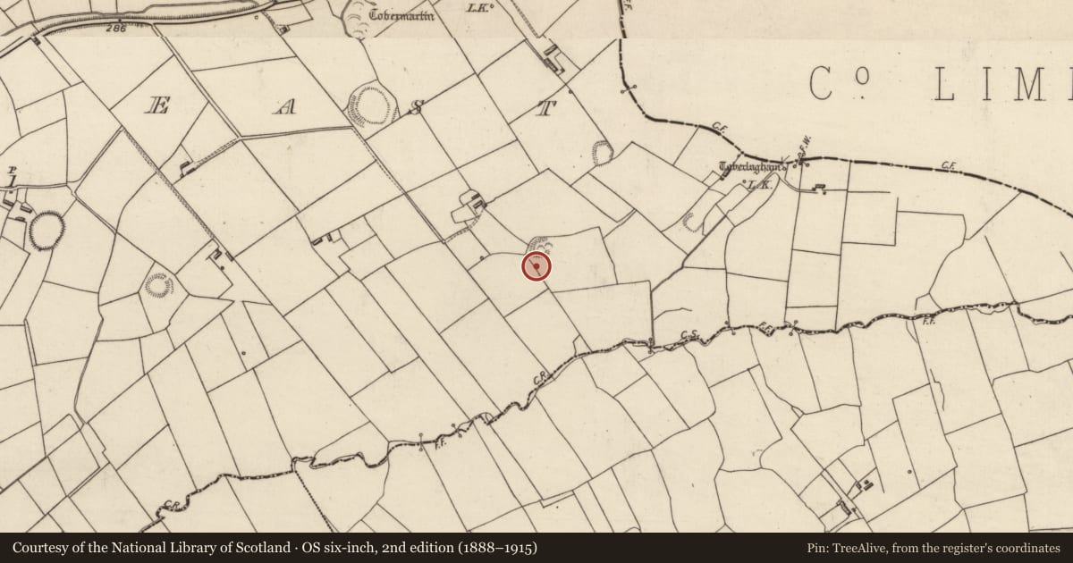 Ordnance Survey six-inch map, 2nd edition (1888–1915) covering the location of Mound, Tarmon East, County Kerry, with a pin at the register's coordinates