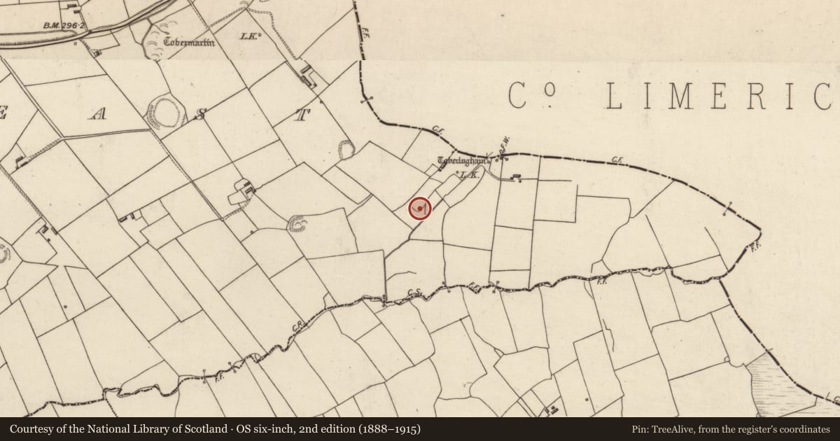 Ordnance Survey six-inch map, 2nd edition (1888–1915) covering the location of Ringfort - rath, Tarmon East, County Kerry, with a pin at the register's coordinates