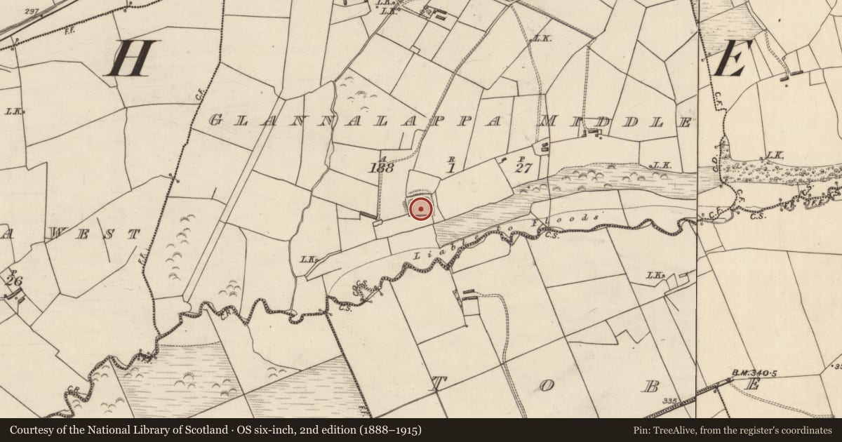 Ordnance Survey six-inch map, 2nd edition (1888–1915) covering the location of Moated site, Glannalappa Middle, County Kerry, with a pin at the register's coordinates