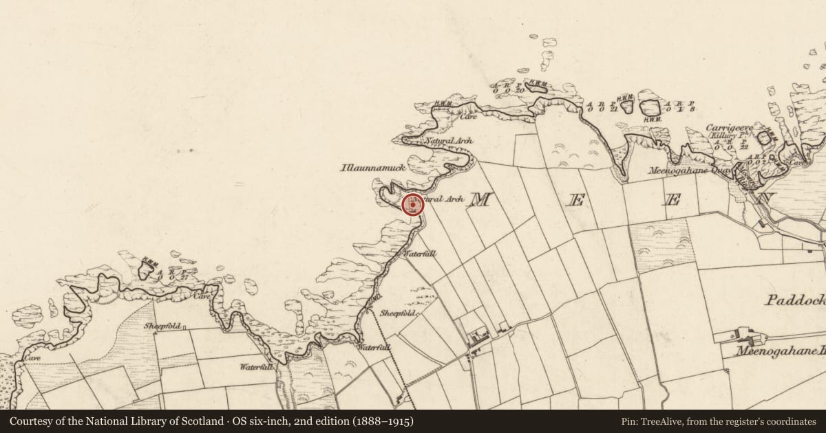 Ordnance Survey six-inch map, 2nd edition (1888–1915) covering the location of Promontory fort - coastal, Meenogahane, County Kerry, with a pin at the register's coordinates