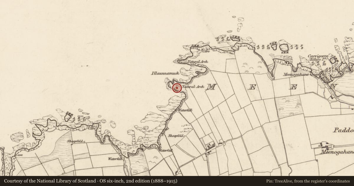 Ordnance Survey six-inch map, 2nd edition (1888–1915) covering the location of Souterrain, Meenogahane, County Kerry, with a pin at the register's coordinates