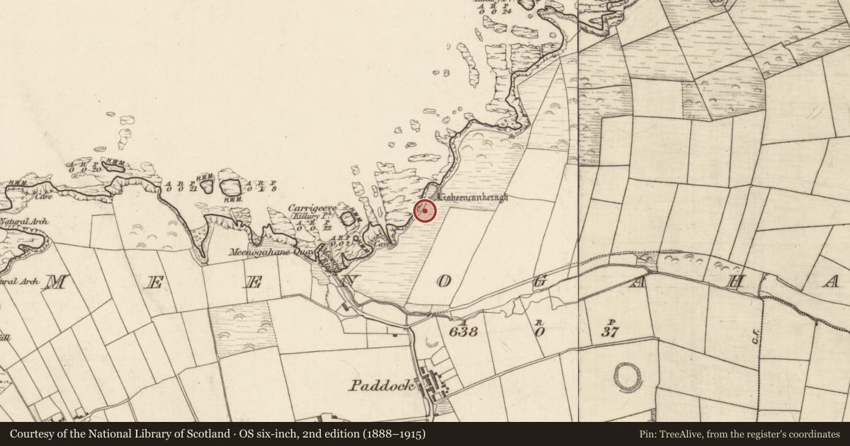 Ordnance Survey six-inch map, 2nd edition (1888–1915) covering the location of Hut site, Meenogahane, County Kerry, with a pin at the register's coordinates