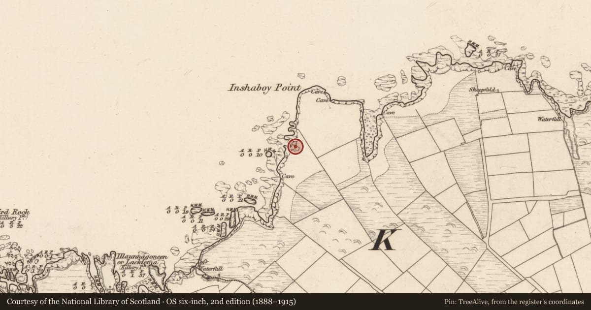 Ordnance Survey six-inch map, 2nd edition (1888–1915) covering the location of Earthwork, Dromnacarra, County Kerry, with a pin at the register's coordinates