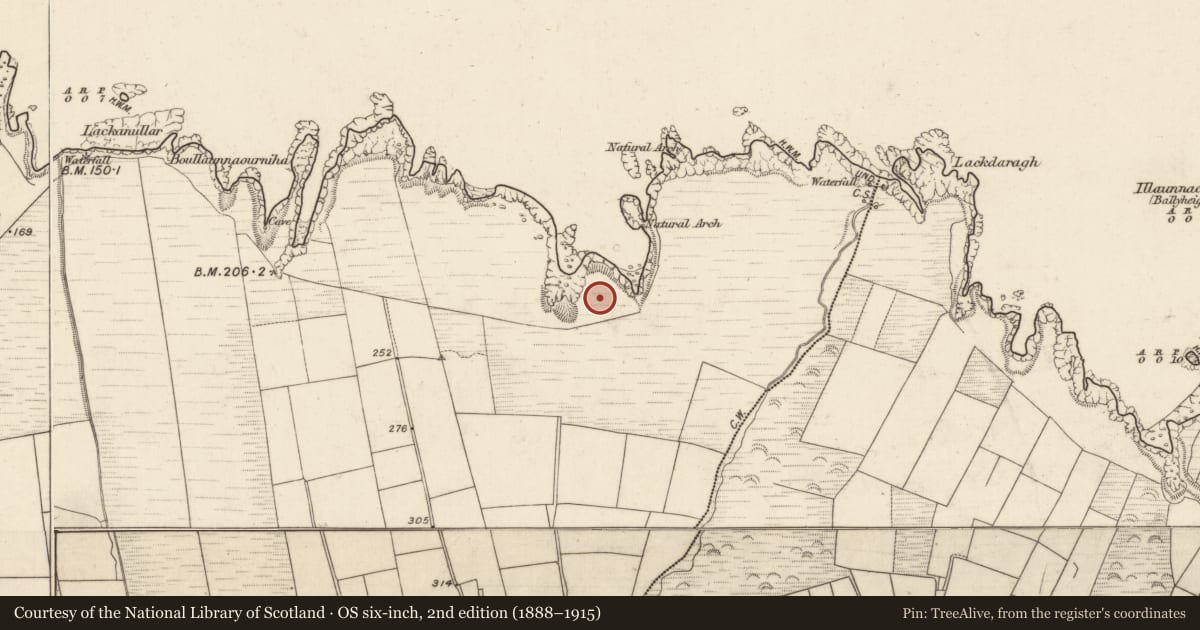 Ordnance Survey six-inch map, 2nd edition (1888–1915) covering the location of Promontory fort - coastal, Dreenagh, County Kerry, with a pin at the register's coordinates