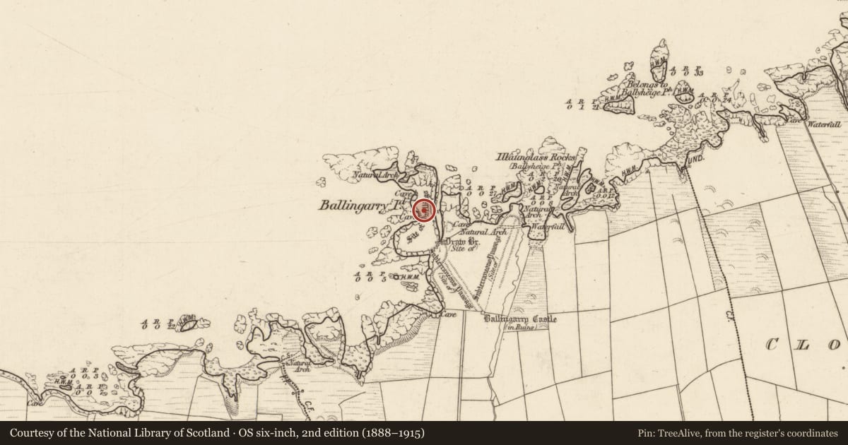 Ordnance Survey six-inch map, 2nd edition (1888–1915) covering the location of Settlement cluster, Cloghaneleesh, County Kerry, with a pin at the register's coordinates