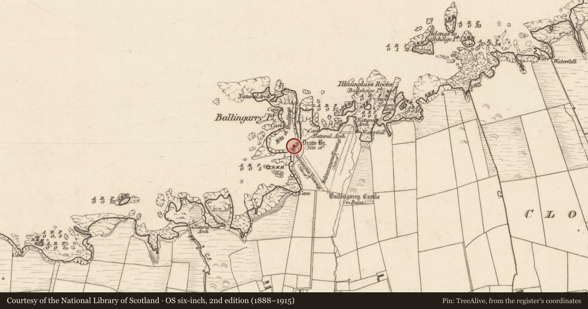 Ordnance Survey six-inch map, 2nd edition (1888–1915) covering the location of Bridge, Cloghaneleesh, County Kerry, with a pin at the register's coordinates