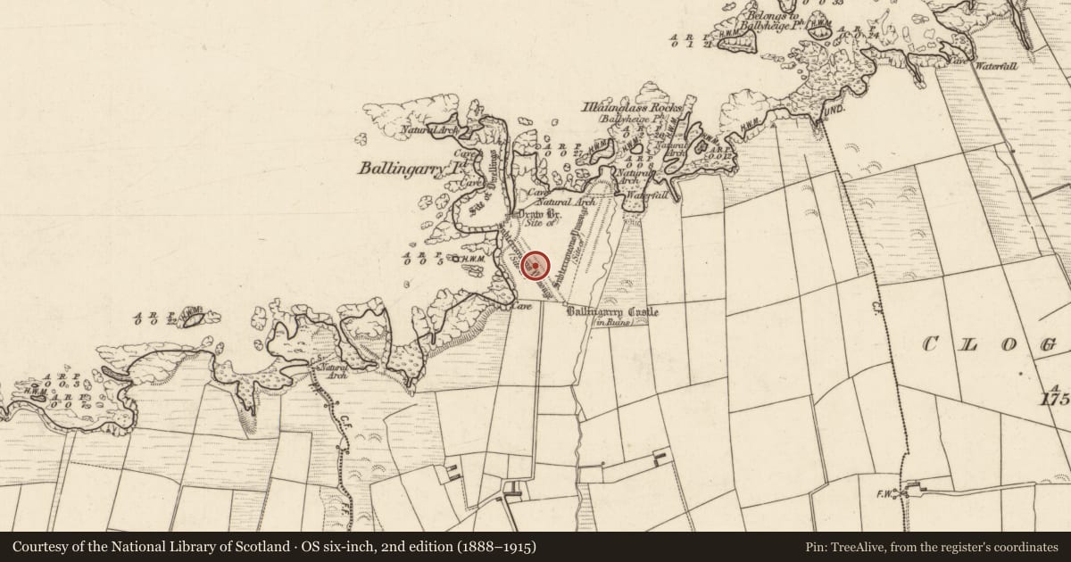 Ordnance Survey six-inch map, 2nd edition (1888–1915) covering the location of Fortification, Cloghaneleesh, County Kerry, with a pin at the register's coordinates