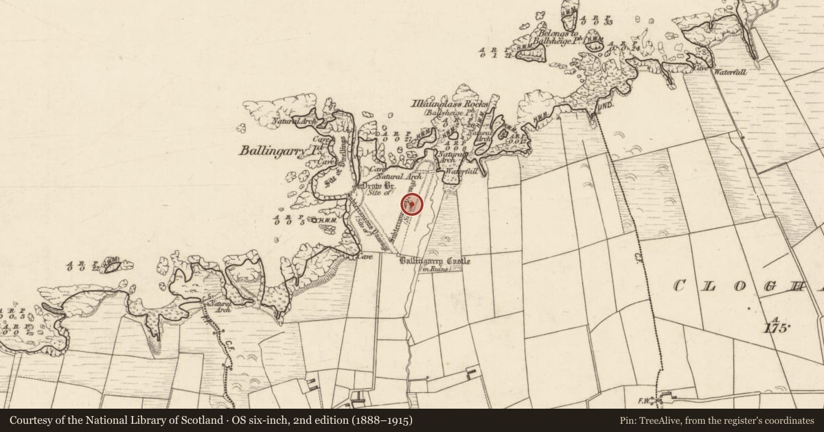 Ordnance Survey six-inch map, 2nd edition (1888–1915) covering the location of Fortification, Cloghaneleesh, County Kerry, with a pin at the register's coordinates
