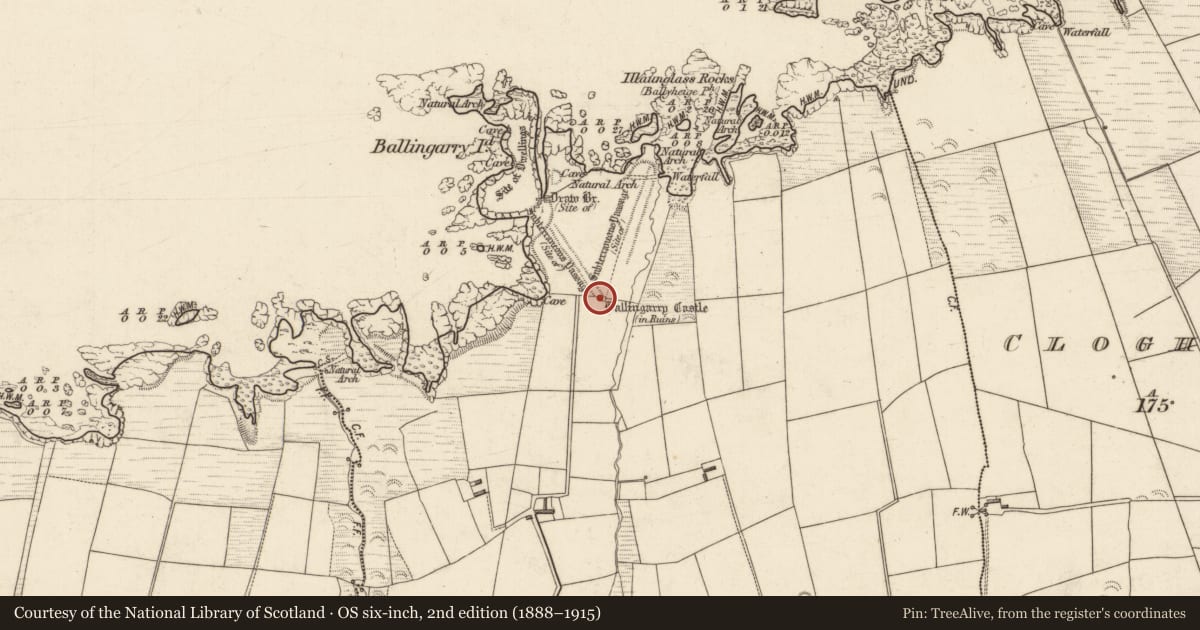 Ordnance Survey six-inch map, 2nd edition (1888–1915) covering the location of Structure, Cloghaneleesh, County Kerry, with a pin at the register's coordinates