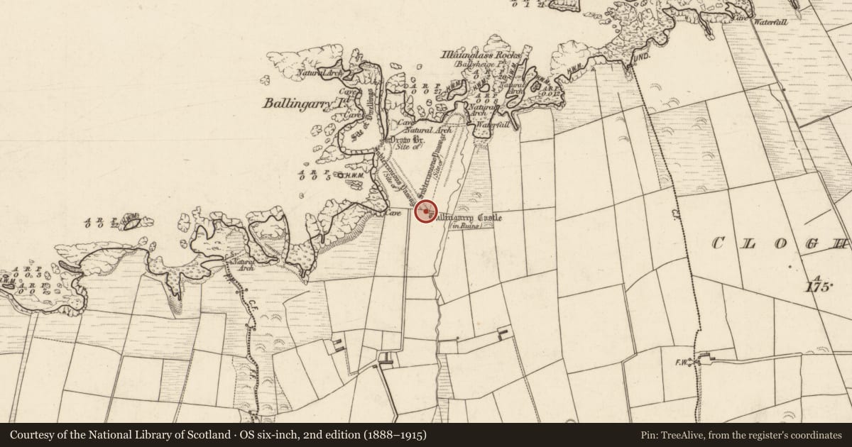 Ordnance Survey six-inch map, 2nd edition (1888–1915) covering the location of Castle - unclassified, Cloghaneleesh, County Kerry, with a pin at the register's coordinates