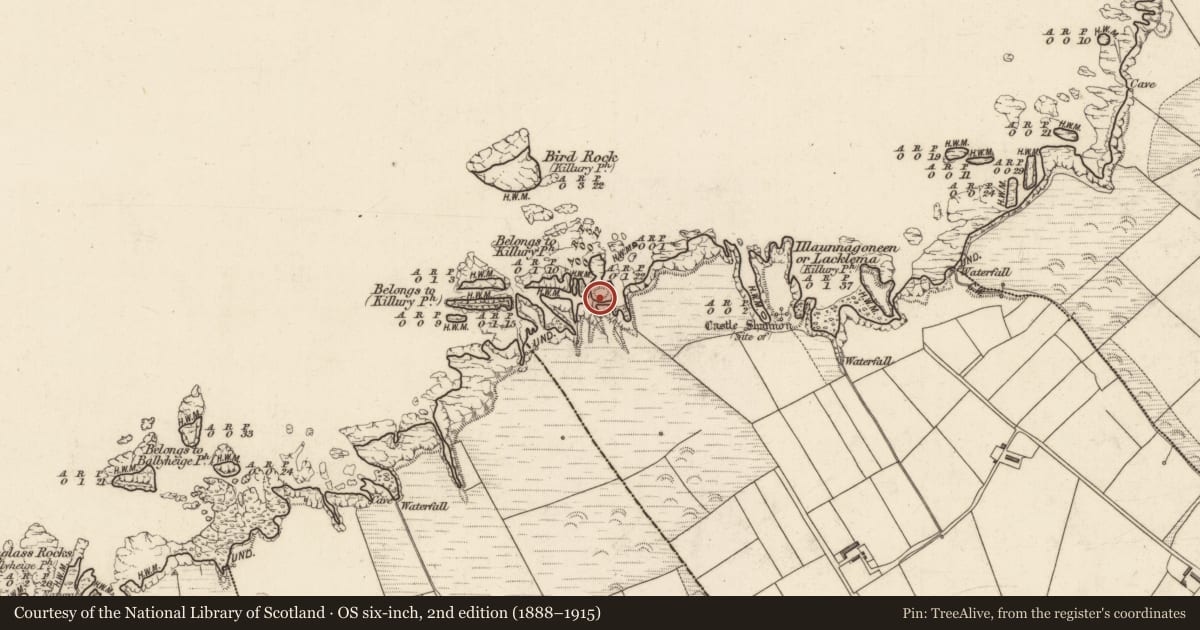 Ordnance Survey six-inch map, 2nd edition (1888–1915) covering the location of Enclosure, Castleshannon, County Kerry, with a pin at the register's coordinates