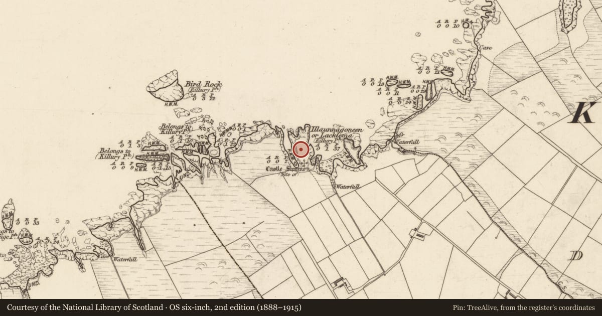 Ordnance Survey six-inch map, 2nd edition (1888–1915) covering the location of Promontory fort - coastal, Castleshannon, County Kerry, with a pin at the register's coordinates