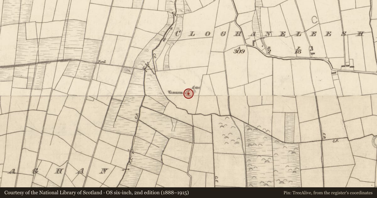 Ordnance Survey six-inch map, 2nd edition (1888–1915) covering the location of House - indeterminate date, Cloghaneleesh, County Kerry, with a pin at the register's coordinates