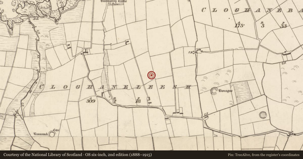 Ordnance Survey six-inch map, 2nd edition (1888–1915) covering the location of Ringfort - rath, Cloghaneleesh, County Kerry, with a pin at the register's coordinates